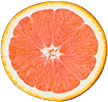 caracara_orange.png