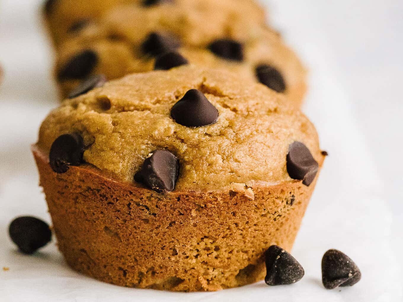 Orange-Chocolate-Chip-Muffins