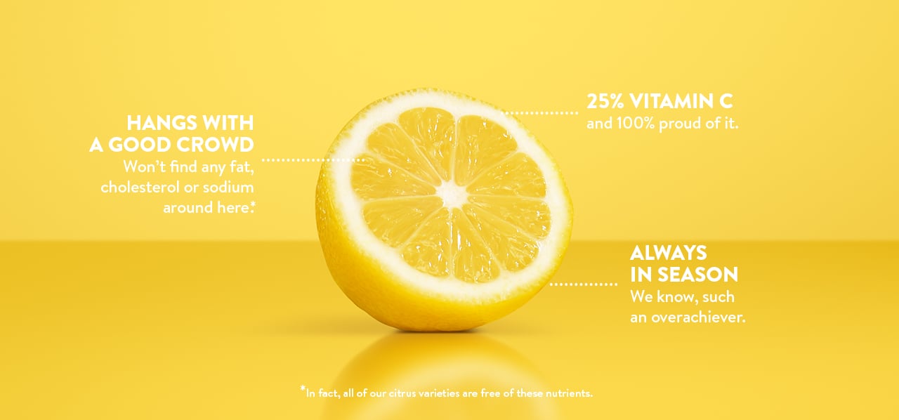 Half slice of a lemon on a yellow background - includes annotations.