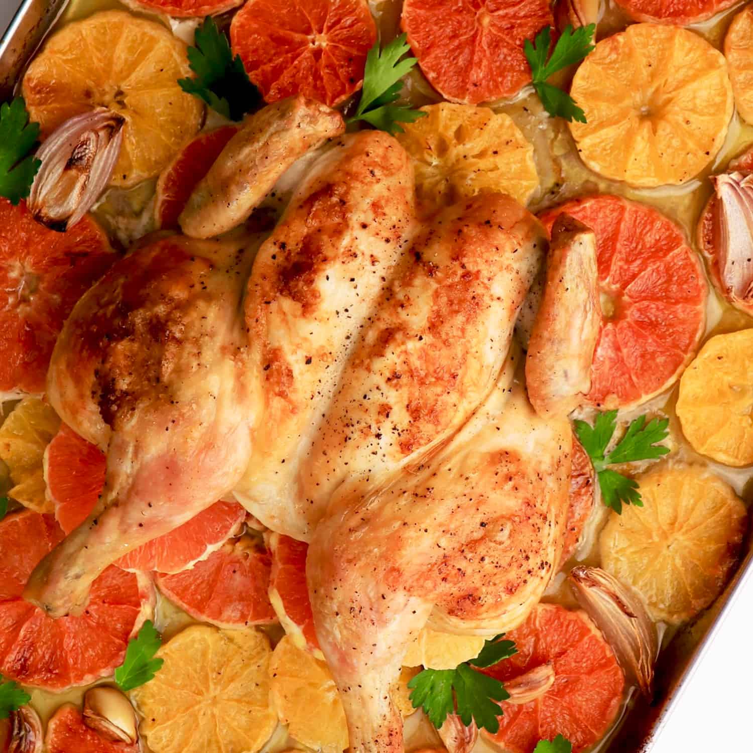 Cara Cara Minneola Chicken
